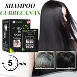 SHAMPOO- CUBRE CANAS